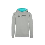 Bluzy dla chłopców - Bluza dziecięca Large Logo Hoody Mercedes AMG F1 2024 - miniaturka - grafika 1