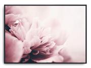 Plakaty - Plakat r B1 100x70 cm Kwiaty Róż Rośliny Natura - miniaturka - grafika 1