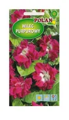 Nasiona i cebule - Wilec purpurowy Reffles 2 g POLAN - miniaturka - grafika 1