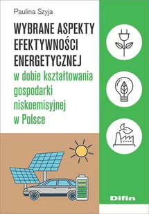 Difin Wybrane aspekty efektywności energetycznej w dobie kształtowania gospodarki niskoemisyjnej w Polsce Paulina Szyja - Biznes - miniaturka - grafika 2