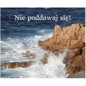 Aforyzmy i sentencje - Perełka 118 - Nie poddawaj się! - Wysyłka od 3,99 - miniaturka - grafika 1