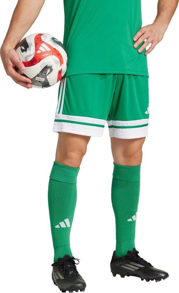 Spodenki męskie adidas Squadra 25 zielone JN7482 XL