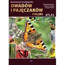 Fenix Ilustrowana encyklopedia owadów i pajęczaków - Fenix - Encyklopedie i leksykony - miniaturka - grafika 1