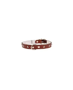 Dino Obroża skórzana z ćwiekami 14mm/36cm brązowa 5906040057149 - Obroże dla psów - miniaturka - grafika 1