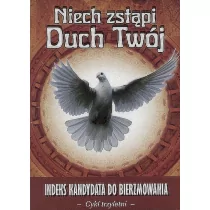 Wydawnictwo Diecezjalne Sandomierz Niech zstąpi Duch Twój - indeks kandydata do bierzmowania - Wydawnictwo Diecezjalne - Religia i religioznawstwo - miniaturka - grafika 3