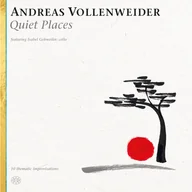 Winyle - Quiet Places (Andreas Vollenweider) (Vinyl / 12" Album) - miniaturka - grafika 1