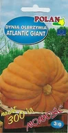 Nasiona i cebule - Dynia olbrzymia Atlantic Gigant 3 g POLAN - miniaturka - grafika 1