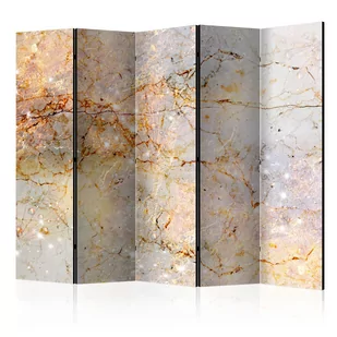 Parawan 5-częściowy - Zaklęte w marmurze II [Room Dividers] (rozmiar 225x172) - Parawany - miniaturka - grafika 1