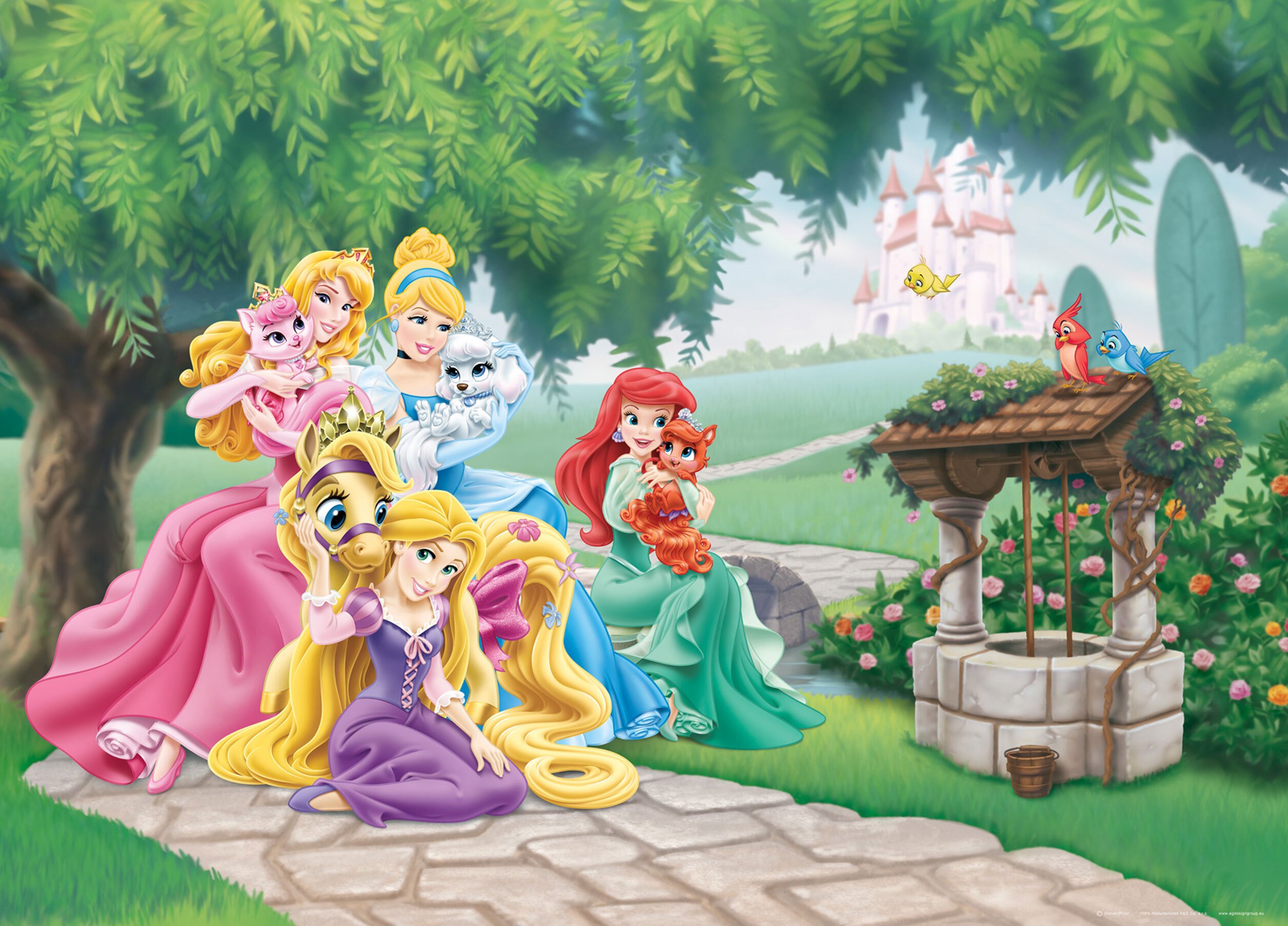 Disney plakat księżniczki zielonym,żółtymIróżowym - 600660 - 160 x 110 cm