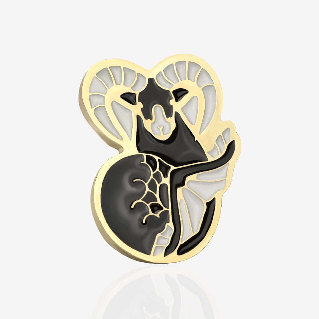 Pins znak zodiaku 
