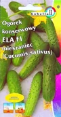 Nasiona i cebule - Ogórek konserwowy Ela 2g / L / - miniaturka - grafika 1