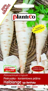 Plantico Pietruszka korzeniowa Halblange Berlińska PNE - Nasiona i cebule - miniaturka - grafika 1