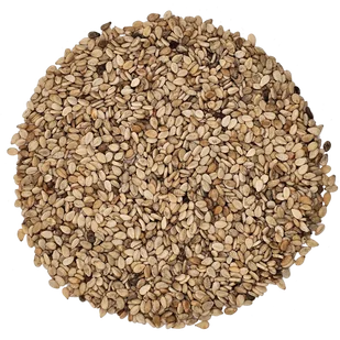 Sezam niełuskany 1kg - Bakalie - miniaturka - grafika 1