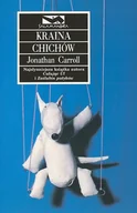 Literatura obyczajowa - Kraina Chichów - miniaturka - grafika 1