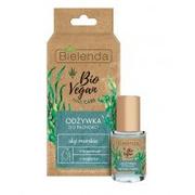 Odżywki do paznokci - Bielenda Bio Vegan Nail Care Odżywka Do Paznokci Algi Morskie Regeneruje I Wygładza 10ml - miniaturka - grafika 1