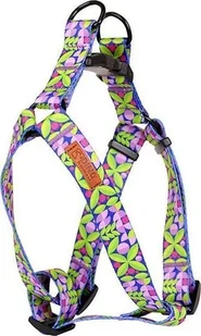 Dino DINO SZELKI TAŚMA REG. IVO 20mm LIŚĆ dł. 40-60cm - Szelki dla psów - miniaturka - grafika 1