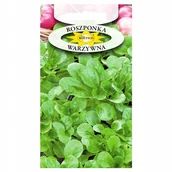 Nasiona i cebule - ROSZPONKA BOGATA W WITAMINY ROŚLINA NASIONA - miniaturka - grafika 1