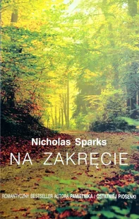 Na zakręcie - Literatura obyczajowa - miniaturka - grafika 1