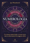 E-booki - poradniki - Numerologia – przewodnik dla początkujących. Co mówią ważne liczby w twoim życiu i jak je wykorzystać do osiągania celów - miniaturka - grafika 1