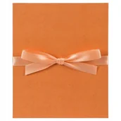 Albumy fotograficzne - Album Goldbuch Leporello Eco Orange 10 stron - miniaturka - grafika 1