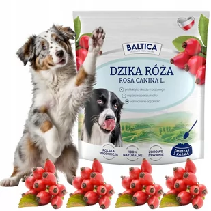 Baltica DZIKA RÓŻA dla psa na odporność i stawy - Suplementy i witaminy dla psów - miniaturka - grafika 1