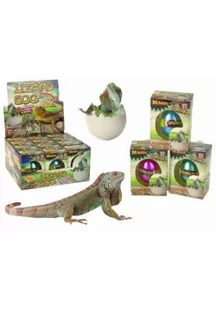 Wykluwające się magiczne jajko jaszczurki 6cm - Albumy krajoznawcze - miniaturka - grafika 1