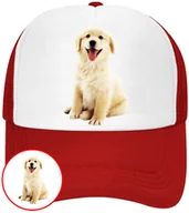 Czapki i chusty sportowe męskie - CZAPKA Z DASZKIEM PSY PIES PIESKI DLA DZIECI SIATKA CZERWONA BEJSBOLÓWKA - miniaturka - grafika 1
