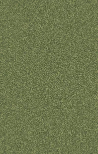 Kleine Wolke Relax Dywanik łazienkowy Forest Zielony 55x 65 cm - Dywaniki łazienkowe Kleine Wolke Relax Dywanik łazienkowy Forest Zielony 55x 65 cm - Dywaniki łazienkowe - miniaturka - grafika 1