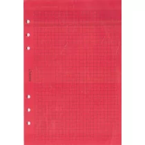 Antra Wkład do segregatora A5 kratka kolorowa kartka - różowa - Szkolne artykuły papiernicze - miniaturka - grafika 1
