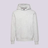 Bluzy męskie - JORDAN BLUZA Z KAPTUREM JORDAN BROOKLYN FLEECE - Jordan - miniaturka - grafika 1