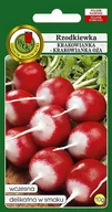 Nasiona i cebule - NASIONA RZODKIEW KRAKOWIANKA OKRĄGŁA DELIKATNA 10G - miniaturka - grafika 1