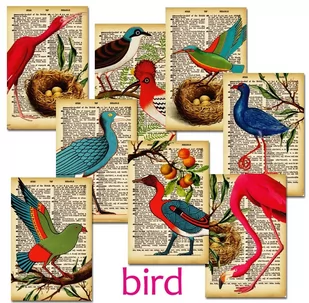 Papiery Do Scrapbookingu - Bileciki Prezentowe – Karneciki Zestaw M99 Ptak 24Szt - Scrapbooking - miniaturka - grafika 1