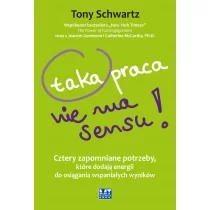 MT Biznes Taka praca nie ma sensu! - Tony Schwartz