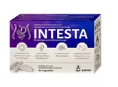 Układ pokarmowy - Bioton S.A. Intesta 60 kapsułek 3233161 - miniaturka - grafika 1