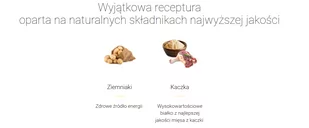 JOSERA Lachs & Kartoffel 5x900g - Sucha karma dla psów - miniaturka - grafika 3