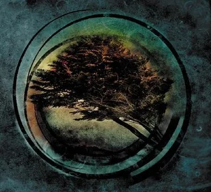 Tides From Nebula Aura Transparent Clear Vinyl) - Winyle - miniaturka - grafika 1
