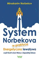 Rozwój osobisty - System Norbekova w praktyce - miniaturka - grafika 1