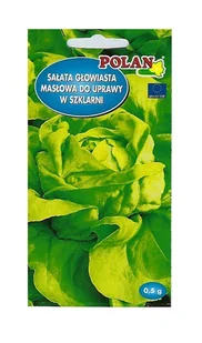 Sałata szklarniowa Safir 0,5 g POLAN - Nasiona i cebule - miniaturka - grafika 1