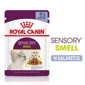 Mokra karma dla kotów - ROYAL CANIN SENSORY Smell Karma mokra w galaretce dla wybrednych kotów 12x85g - miniaturka - grafika 1