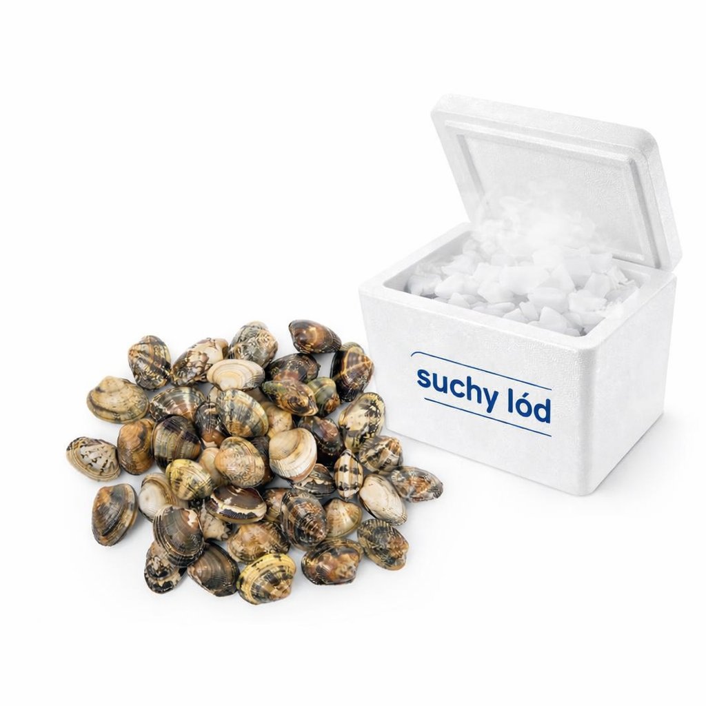 Małże Wenus lirowate Vongole 1kg