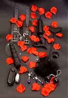 Akcesoria BDSM - ToyJoy Wyjątkowy erotyczny zestaw - 10 elementów 1071 - miniaturka - grafika 1