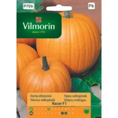 Nasiona i cebule - Dynia zwyczajna Racer F1 10 z Vilmorin Garden - miniaturka - grafika 1