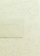 Artykuły biurowe - Papeteria Liana kremowa A4 - 20 ark Liana 100g + 10 szt kopert DL Millenium - miniaturka - grafika 1