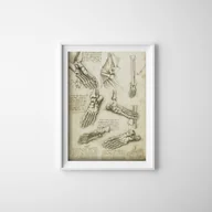 Plakaty - Plakat retro Da Vinci Kości stopy - miniaturka - grafika 1