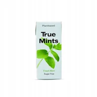 Cukierki - True Mints naturalne pastylki bez cukru o smaku mięty 13g - miniaturka - grafika 1