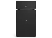 Głośniki i kolumny - Audio Pro DRUMFIRE II W (Czarny) - miniaturka - grafika 1