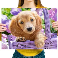 Zabawki kreatywne - Haft Diamentowy Diamond Painting,DIAMENTOWY MALARZ,Obraz DIY 5D,Mozaika Diamentowa 30x40, Pies - miniaturka - grafika 1