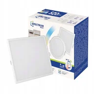 Systemy inteligentnych domów - WOJNAROWSCY SPÓŁKA Z OGRANICZONĄ ODPOWIEDZIALNOŚCI Oprawa LED Wi-Fi ściemnialna ALGINE 6W CCT DIMM Spectrum SMART - miniaturka - grafika 1