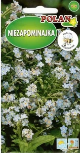 Niezapominajka Indigo 0.5 g POLAN - Nasiona i cebule - miniaturka - grafika 1