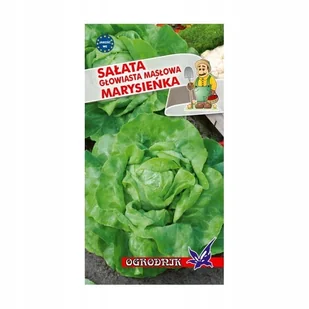Sałata masłowa Marysieńka 2g / O / - Nasiona i cebule - miniaturka - grafika 1